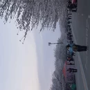 郑州旅游 缩略图 8