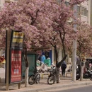 郑州旅游 缩略图 4