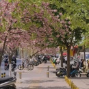 郑州旅游 缩略图 5