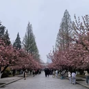 合肥旅游 缩略图 6