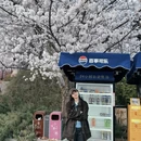 郑州旅游 缩略图 1