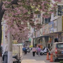 郑州旅游 缩略图 6