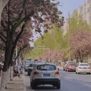 郑州旅游 缩略图 7