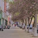 郑州旅游 缩略图 8