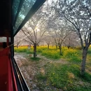 郑州旅游 缩略图 4