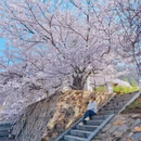 大连旅游 缩略图 2
