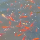 大连旅游 缩略图 4
