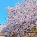 大连旅游 缩略图 6