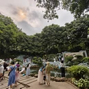 南宁旅游 缩略图 10