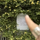 石家庄旅游 缩略图 6