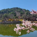 大连旅游 缩略图 2