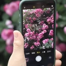 成都旅游 缩略图 9