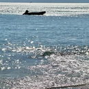 大连旅游 缩略图 5