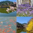 大连旅游 缩略图 1