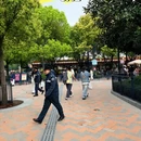 上海旅游 缩略图 3