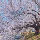 大连旅游 缩略图 7