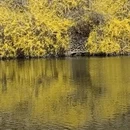 大连旅游 缩略图 8