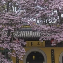 苏州旅游 缩略图 8