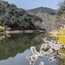 大连旅游 缩略图 6