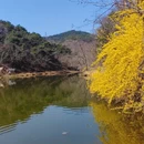 大连旅游 缩略图 3