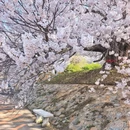 大连旅游 缩略图 16