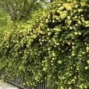 石家庄旅游 缩略图 5