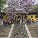 苏州旅游 缩略图 12