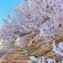大连旅游 缩略图 3