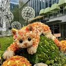 上海旅游 缩略图 10