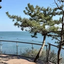 大连旅游 缩略图 18