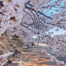 大连旅游 缩略图 12