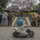 苏州旅游 缩略图 14