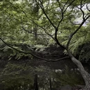杭州旅游 缩略图 4