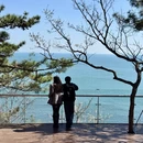 大连旅游 缩略图 9