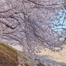 大连旅游 缩略图 13