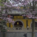 苏州旅游 缩略图 9