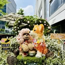 上海旅游 缩略图 12