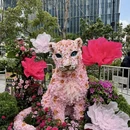 上海旅游 缩略图 13