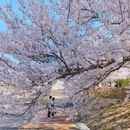 大连旅游 缩略图 15