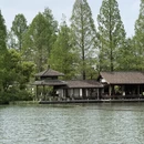 杭州旅游 缩略图 7
