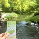 杭州旅游 缩略图 15