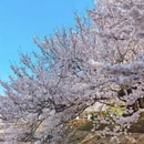 大连旅游 缩略图 17