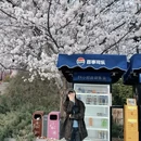 郑州旅游 缩略图 3
