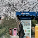 郑州旅游 缩略图 4