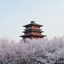 郑州旅游 缩略图 6