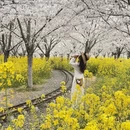 郑州旅游 缩略图 4