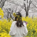 郑州旅游 缩略图 5