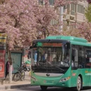 郑州旅游 缩略图 1