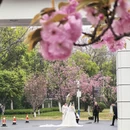 合肥旅游 缩略图 1