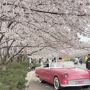 郑州旅游 缩略图 7